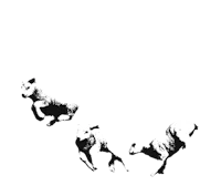 a black and white image of a pair of wolves